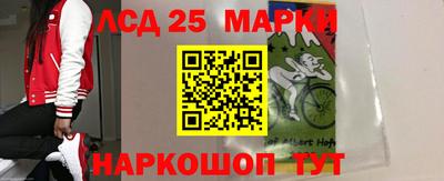 индика Ставрополь