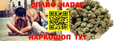 индика Ставрополь