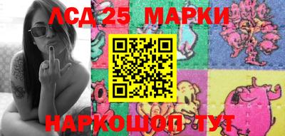 индика Ставрополь