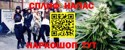 индика Ставрополь