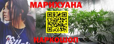 индика Ставрополь