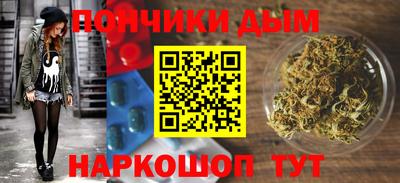 индика Ставрополь