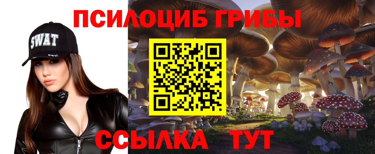 что такое наркотик  Псилоцибиновые грибы мицелий  Галлюциногенные грибы Psilocybine cubensis  Вход с VPN  Петровск 